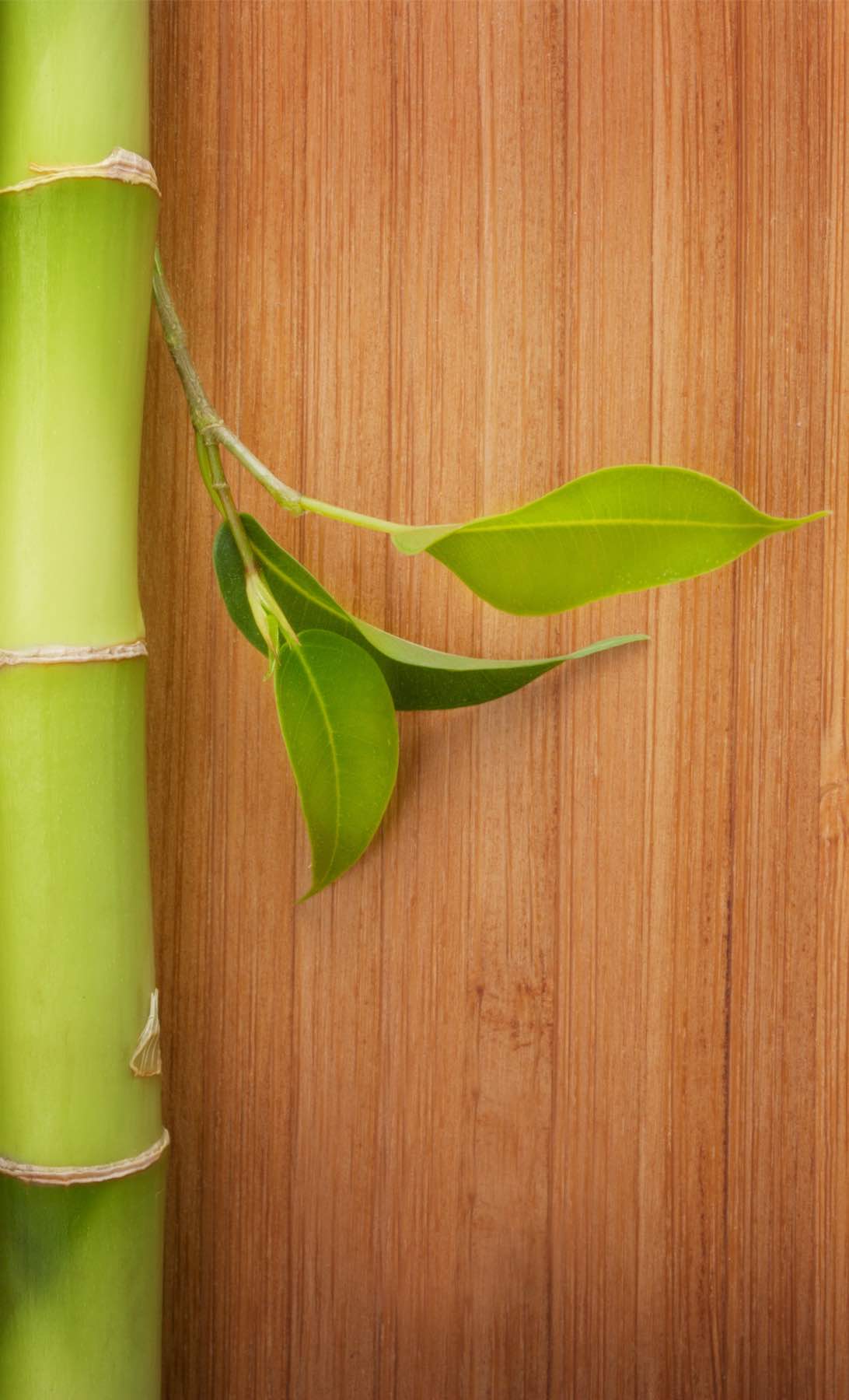 Bamboo wood flooring with Footprints Floors .