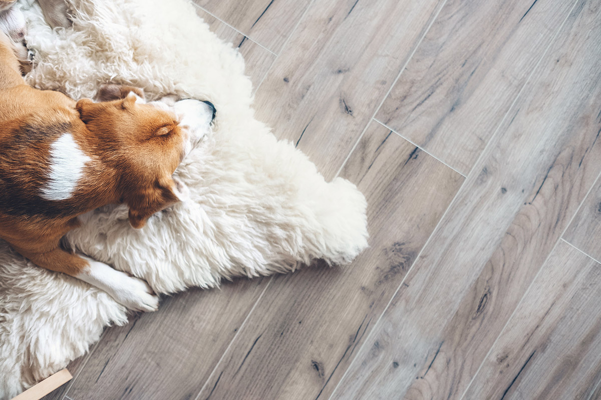 Laminate floor installation with Footprints Floors.