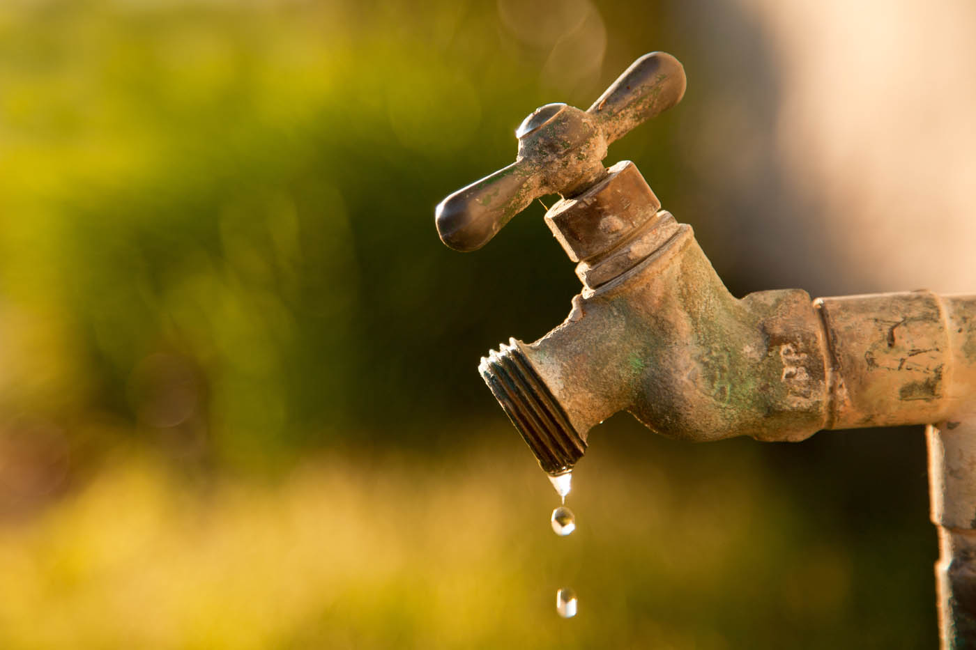 WyattWorks Plumbing Trenchless Sewer Line Repair in Ohio & North Carolina